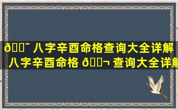 🐯 八字辛酉命格查询大全详解「八字辛酉命格 🐬 查询大全详解图」